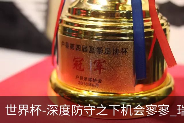 世界杯-深度防守之下机会寥寥 瑞士半场0-0闷平波黑