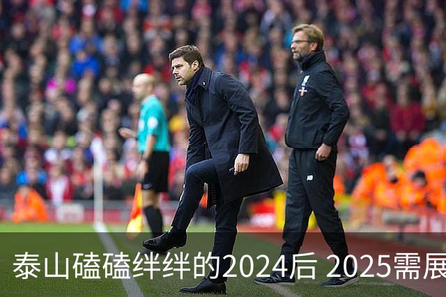 泰山磕磕绊绊的2024后 2025需展现清晰的发展方向
